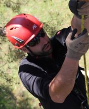 Spycher Baumpflege GmbH Bild 14