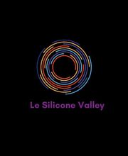 Le Silicone Valley image 4