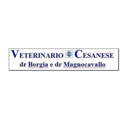 Centro Veterinario Cesanese logo
