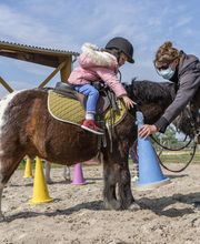 Poney Club Des Cinq Arpents image 8