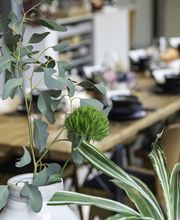 Trend Lab + Loft Bild 2