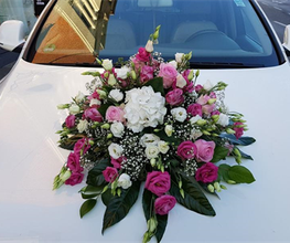 Blumenfee Hilden Bild 1