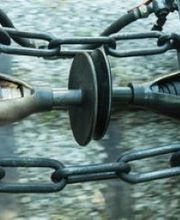 Die Chiemsee-Bahn Bild 2