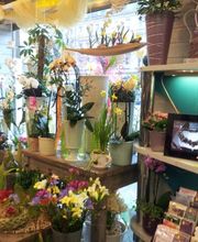 Birkner Blumen Bild 4