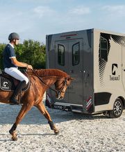 Vans Theault image 2