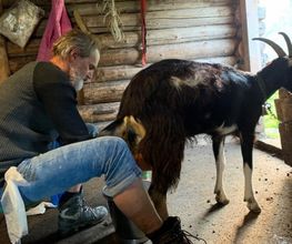 Stiftung Terra Vecchia, Fachstelle Berufliche Integration Bild 2
