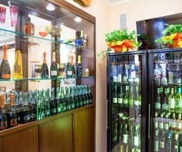 Gallery Professionale
