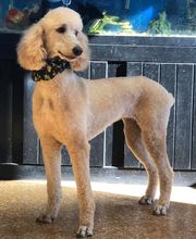 Animal Hospital of Nebraska City image 2