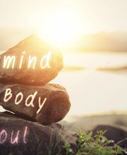 Naturheilpraxis Millefolium Bild 4