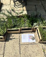 Gartenservice Mark Miess Bild 9