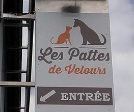 Les Pattes de Velours image 4