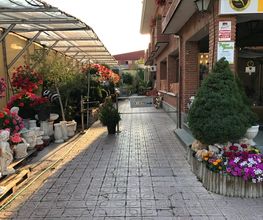 entrada-maranta.jpg