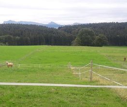 Ranch du p'tit bonheur Bild 4