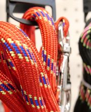 Natera - Ledergues image 10