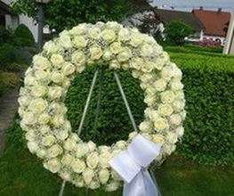 BluemeEgge Bild 9