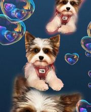 A Fleur De Chiens image 1