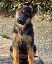 Domaine de Jules image 1