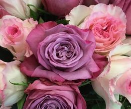 Fleuriste de la Halle Bild 6