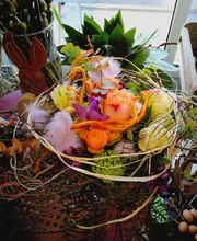 ANGELOZ Jardinier-Paysagiste Bild 12