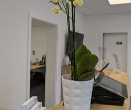Langer Hörstudio Zetel Bild 4