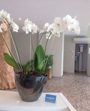 Dr. Ditschek Julia Bild 5