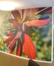 Malerei Wülser & Partner GmbH Bild 9