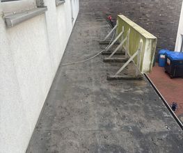 1000082329.jpg