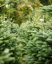 Agroservice Huber AG Bild 5