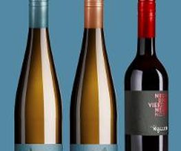 Weingut Waller Bild 1