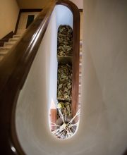 Gallery Professionale