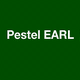 Pestel