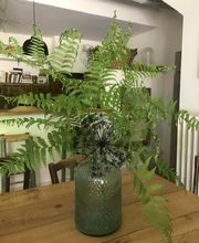 Bergerie De Beaudine image 18