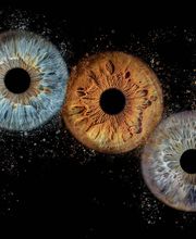 Marc Williams Studio image 3