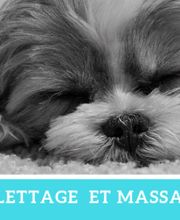 Au Bain Canin image 2