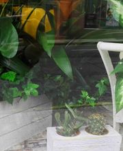 Floristería Manuela imagen 13