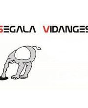 Segala Vidanges image 4