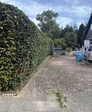 Dienstleistungsservice Birkholz Bild 2