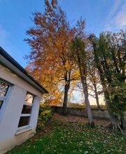 DFP Paysage image 11