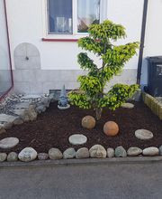 KsS KniesServices Bild 7