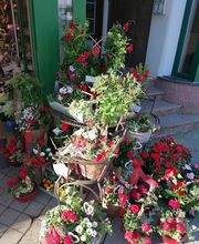 Kati's Blütenmeer Bild 1