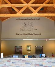 Precious Paws Animal Hospital image 8