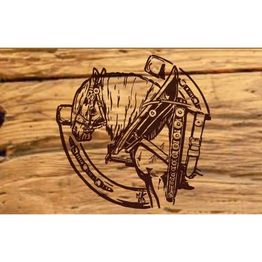 Wohlis Kutschbetrieb &  Ginas Reitschule