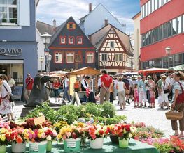 Holiday Inn Express Offenburg by IHG Bild 4