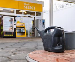 Shell Bild 18