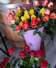 Succulentes & Orchidees image 3