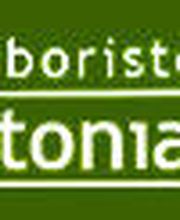 LOGOLISTA.jpg