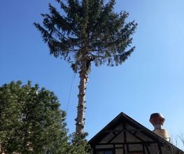 TC-Gartenbau Bild 13