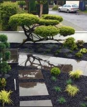 Terrassen Kreationen-Dani Zeciri-Terrassenbau Alfter