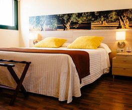hotel-algadir-habitaciones-05.jpg