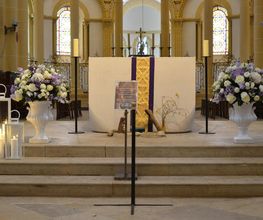 Passiflore image 15